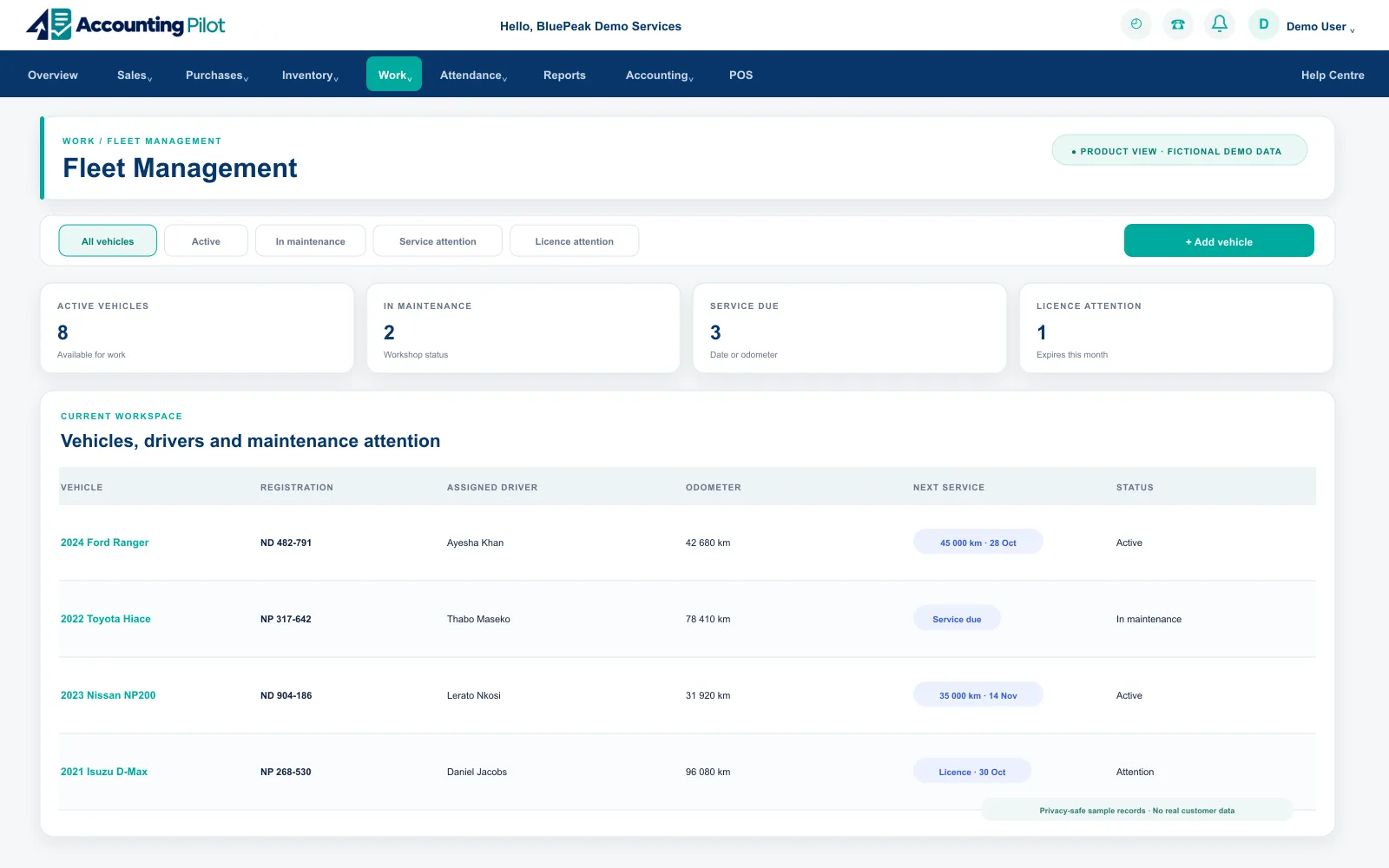 Accounting Pilot fleet management register with fictional demo information