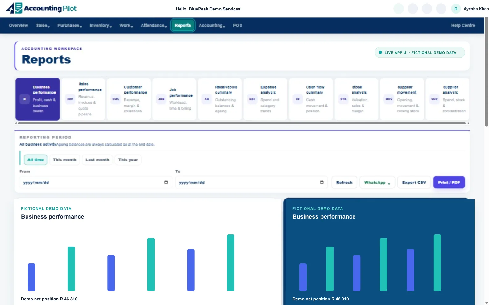 Accounting Pilot reporting screen